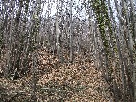 nte Cagliato-20110220 014
